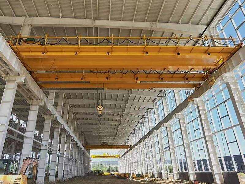 LH model Double Girder EOT Cranes