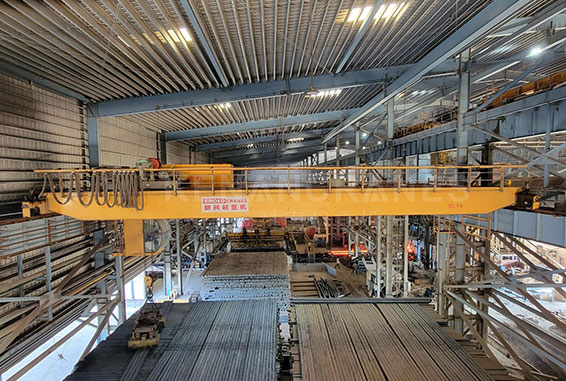 Double Girder EOT Crane