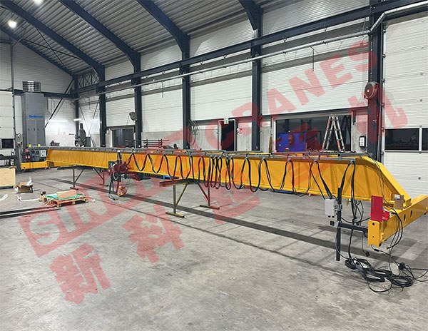 Enabling Rapid In-House Production for German Manufacturer with European 5-Ton Single Girder Crane Kits