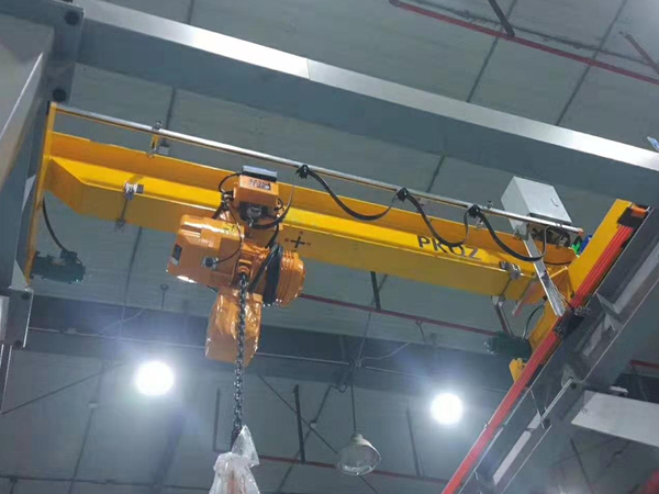5 ton electric chain crane in Karachi.jpg